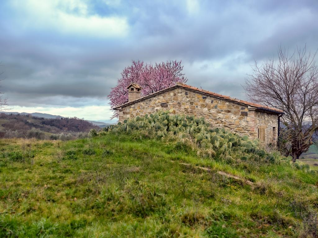 Agriturismo Le Canterie Radicondoli Zewnętrze zdjęcie