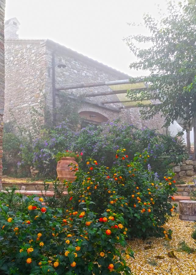 Agriturismo Le Canterie Radicondoli Zewnętrze zdjęcie