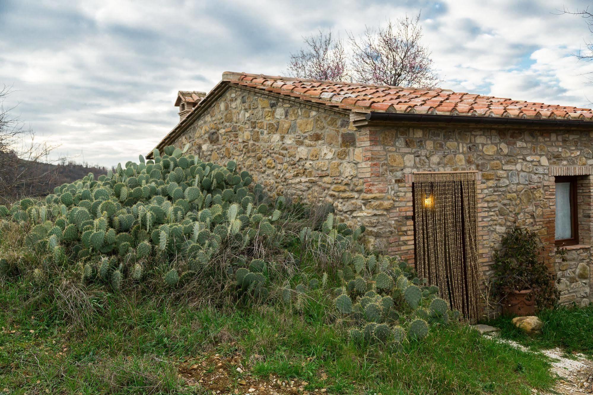 Agriturismo Le Canterie Radicondoli Zewnętrze zdjęcie