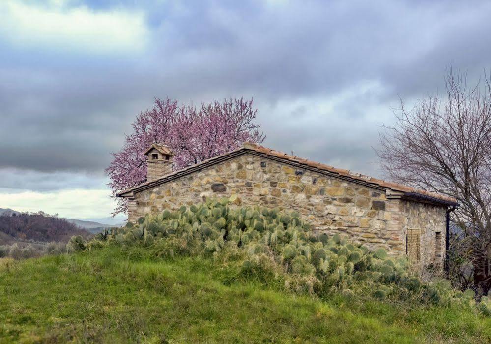Agriturismo Le Canterie Radicondoli Zewnętrze zdjęcie